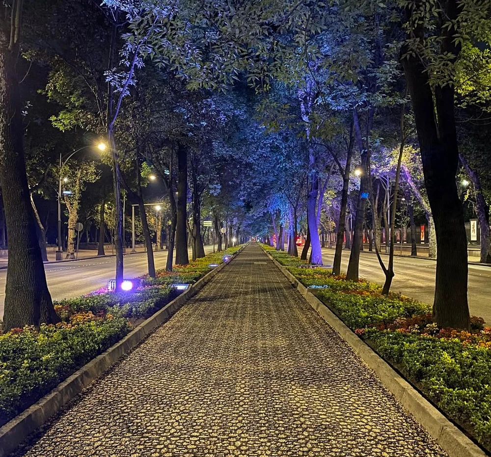 reformadenoche