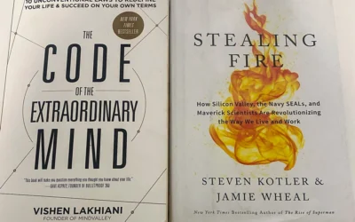 CODE MIND / STEALING FIRE